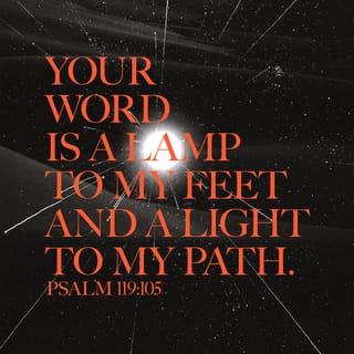 Psalms 119:105 - Your word is a lamp for my feet
and a light on my path.