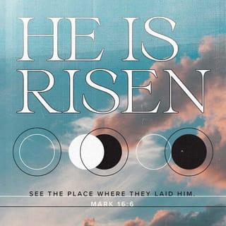 Mark 16:6 - “Don’t be alarmed,” he said. “You are looking for Jesus the Nazarene, who was crucified. He has risen! He is not here. See the place where they laid him.