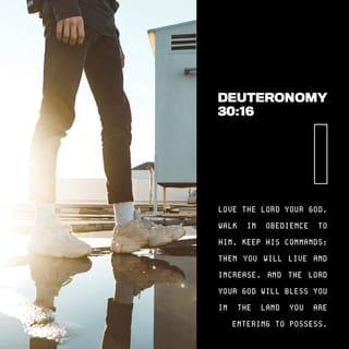 Deuteronomy 30:15-20 NCV