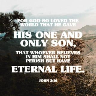 John 3:16 - God so loved the world that he gave his one and only Son. Anyone who believes in him will not die but will have eternal life.