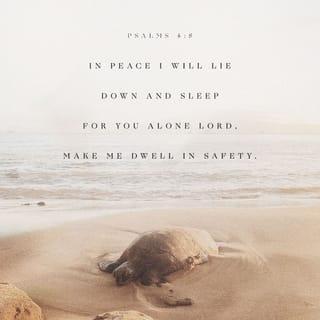 Psalms 4:8 - In peace I will lie down and sleep,
for you alone, LORD,
make me dwell in safety.