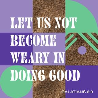 Galatians 6:9 - So we must not get tired of doing good, for we will reap at the proper time if we don’t give up.