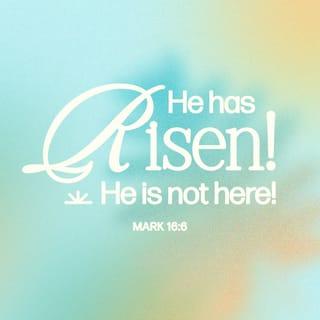 Mark 16:6 - But he said to them, “Do not be alarmed. You seek Jesus of Nazareth, who was crucified. He is risen! He is not here. See the place where they laid Him.
