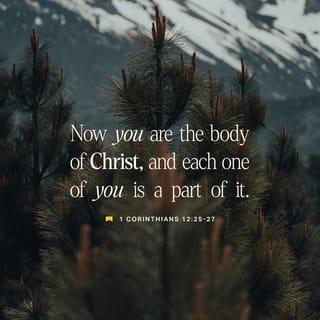 1 Corinthians 12:25-26 - so that there should be no division in the body, but that its parts should have equal concern for each other. If one part suffers, every part suffers with it; if one part is honored, every part rejoices with it.