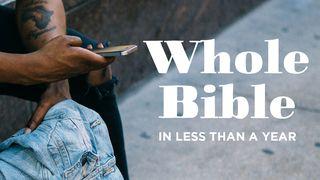 Olvasd el az egész Bibliát kevesebb, mint egy év alatt