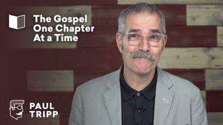 Old Testament Bible Study Summary With Paul David Tripp