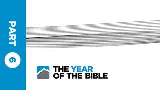 Year of the Bible: Part Six of Twelve 