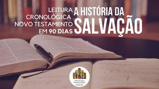 A História Da Salvação - O Novo Testamento Cronológico em 90 dias
