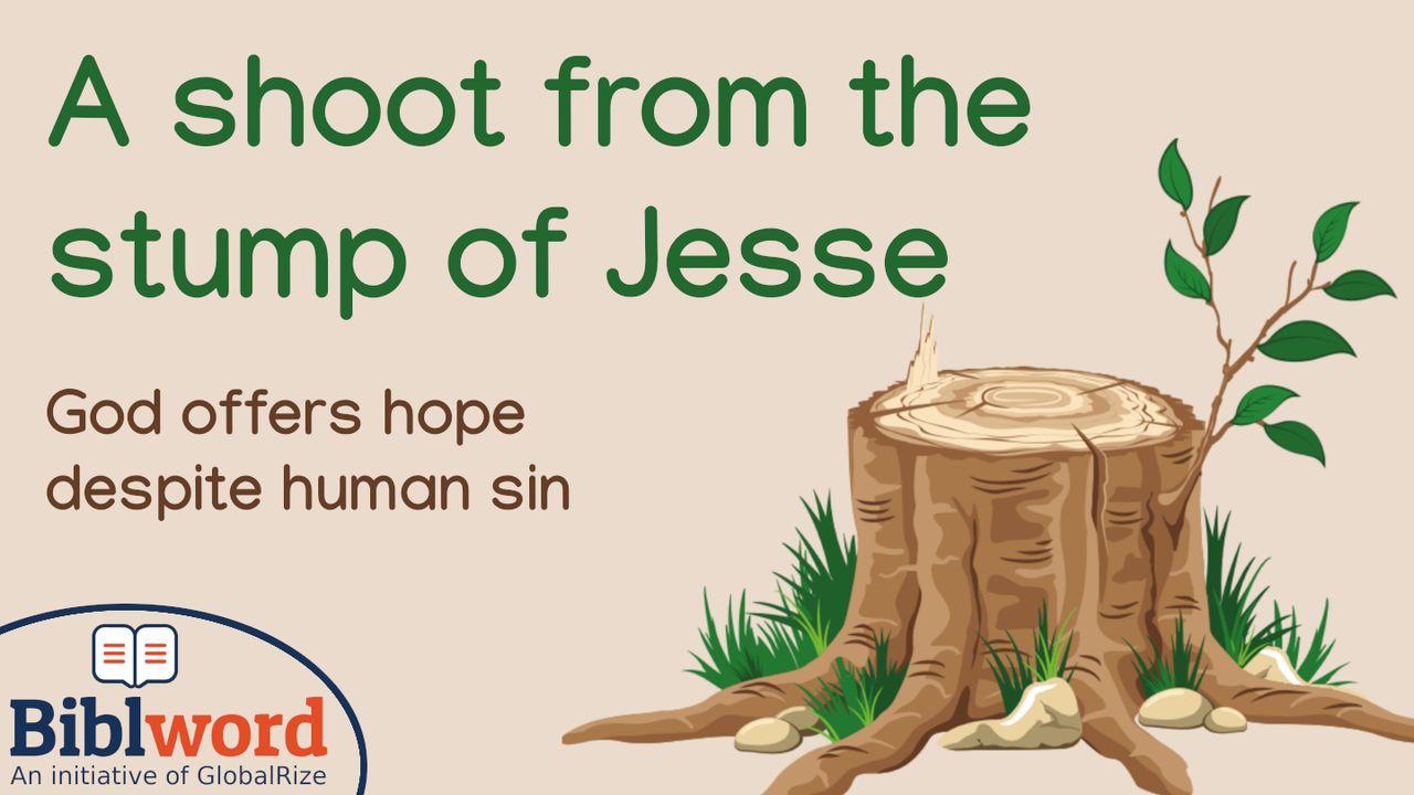 A Shoot From the Stump of Jesse
