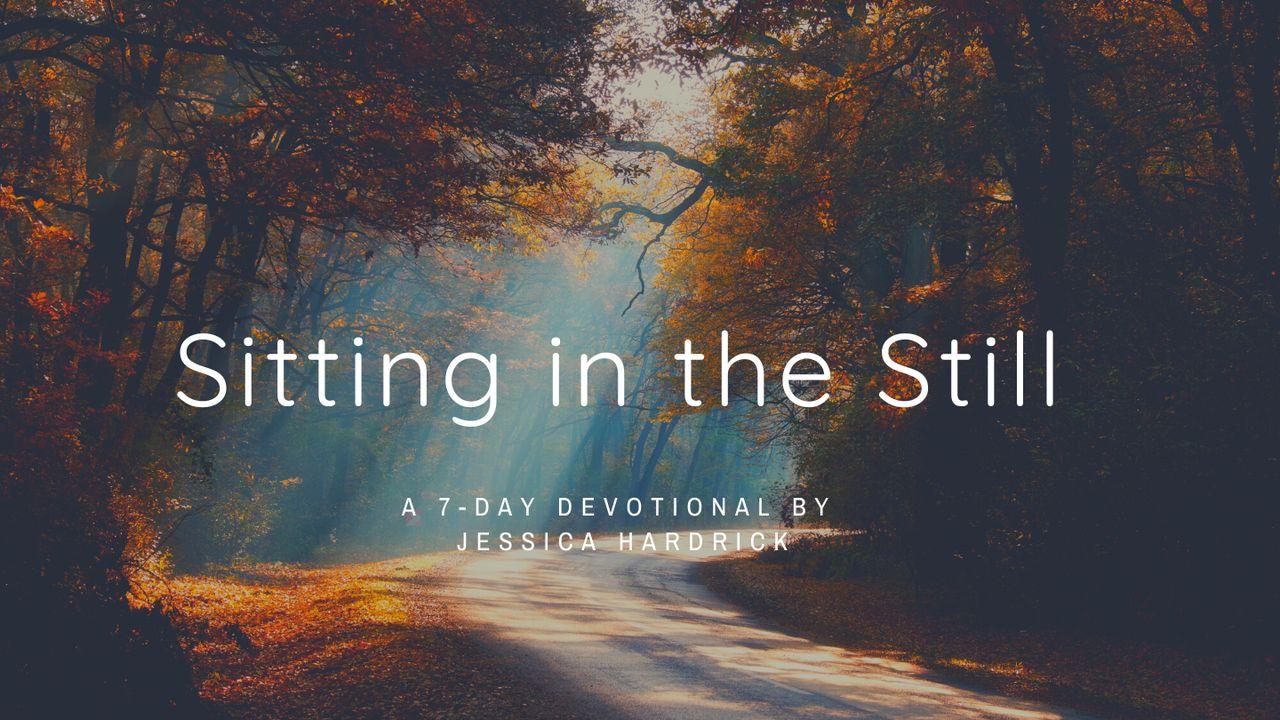 Zitten in de stilte: 7 dagen om te wachten in Gods belofte