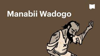 BibleProject | Manabii Wadogo