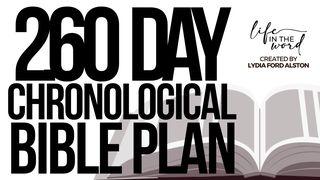 260 Day Chronological Bible Plan