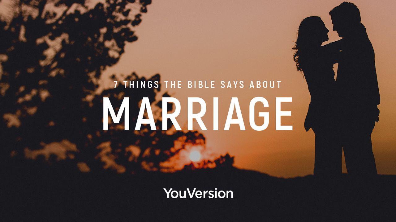 7 Coisas Que A Bíblia Diz Sobre Casamento