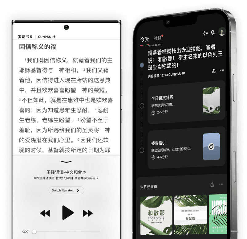 仅限移动版