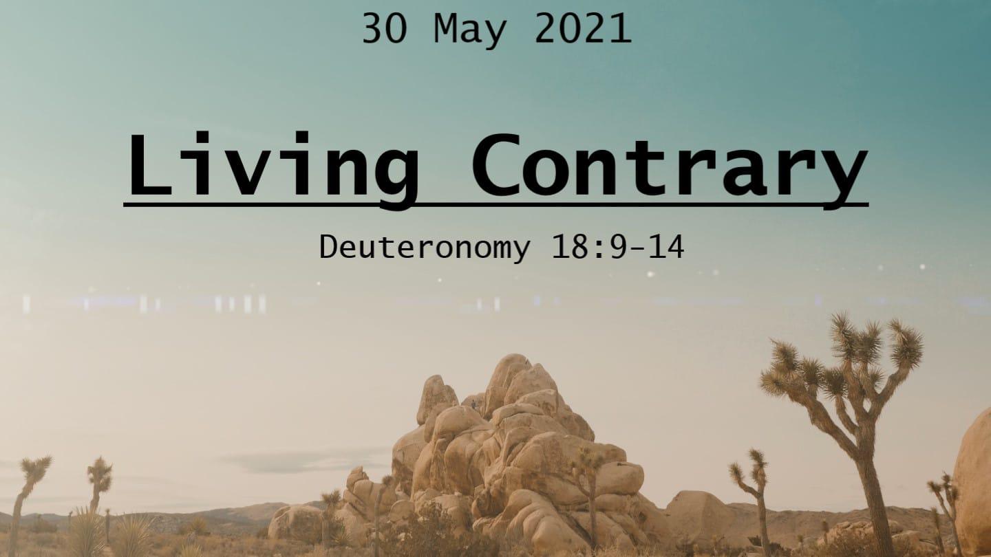 "Living Contrary" 23 May 2021 (2)