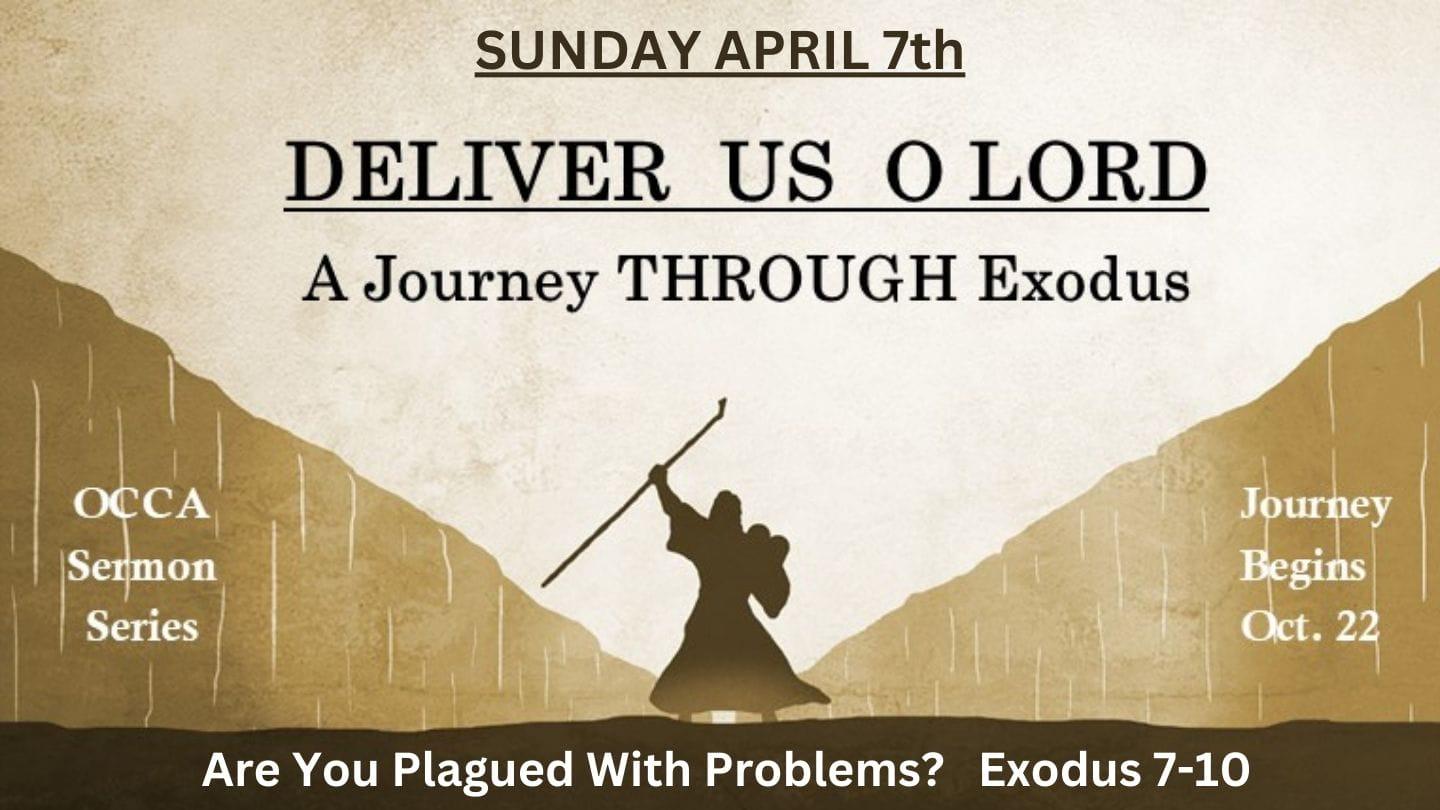 Are You Plagued With Problems?