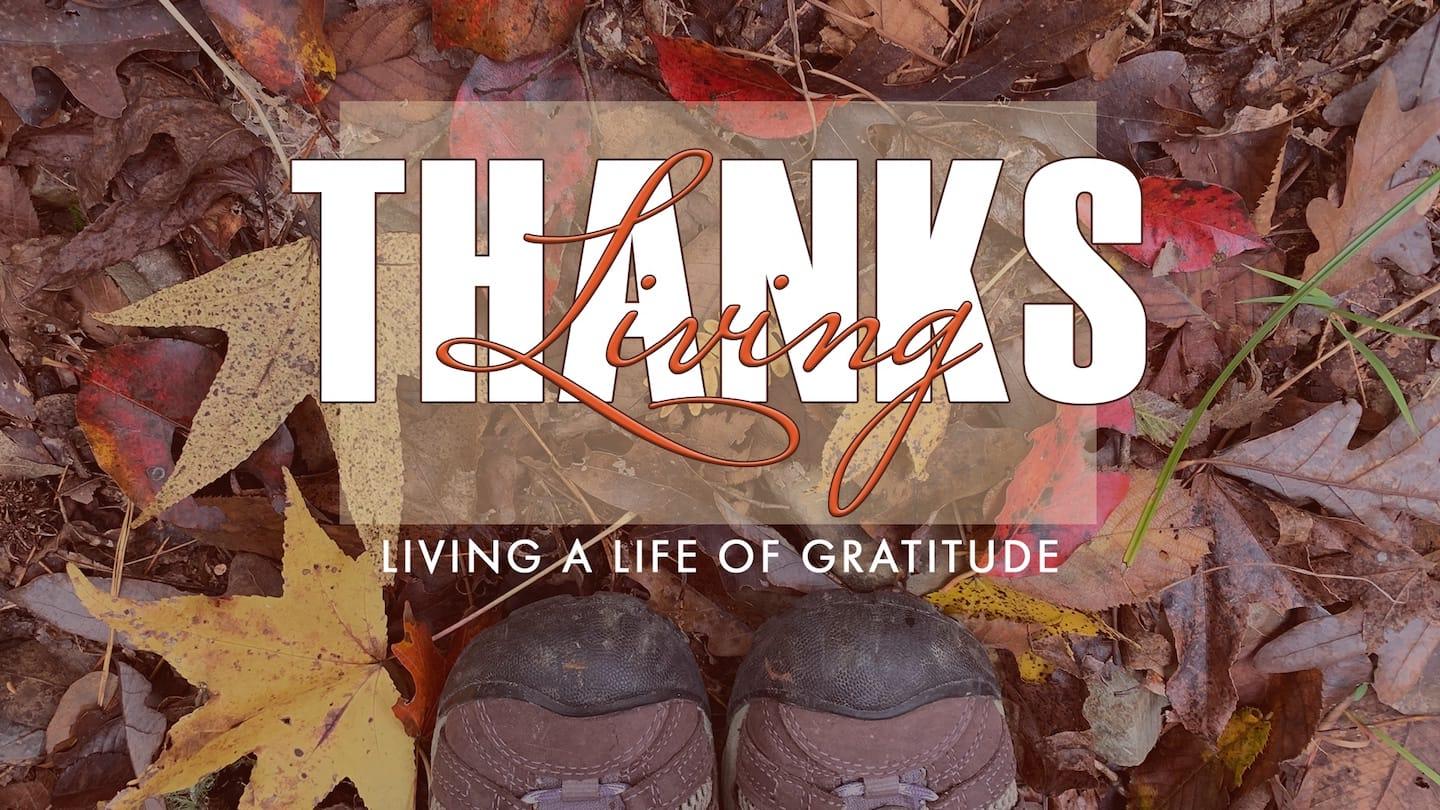 Thanksgiving as Lifestyle