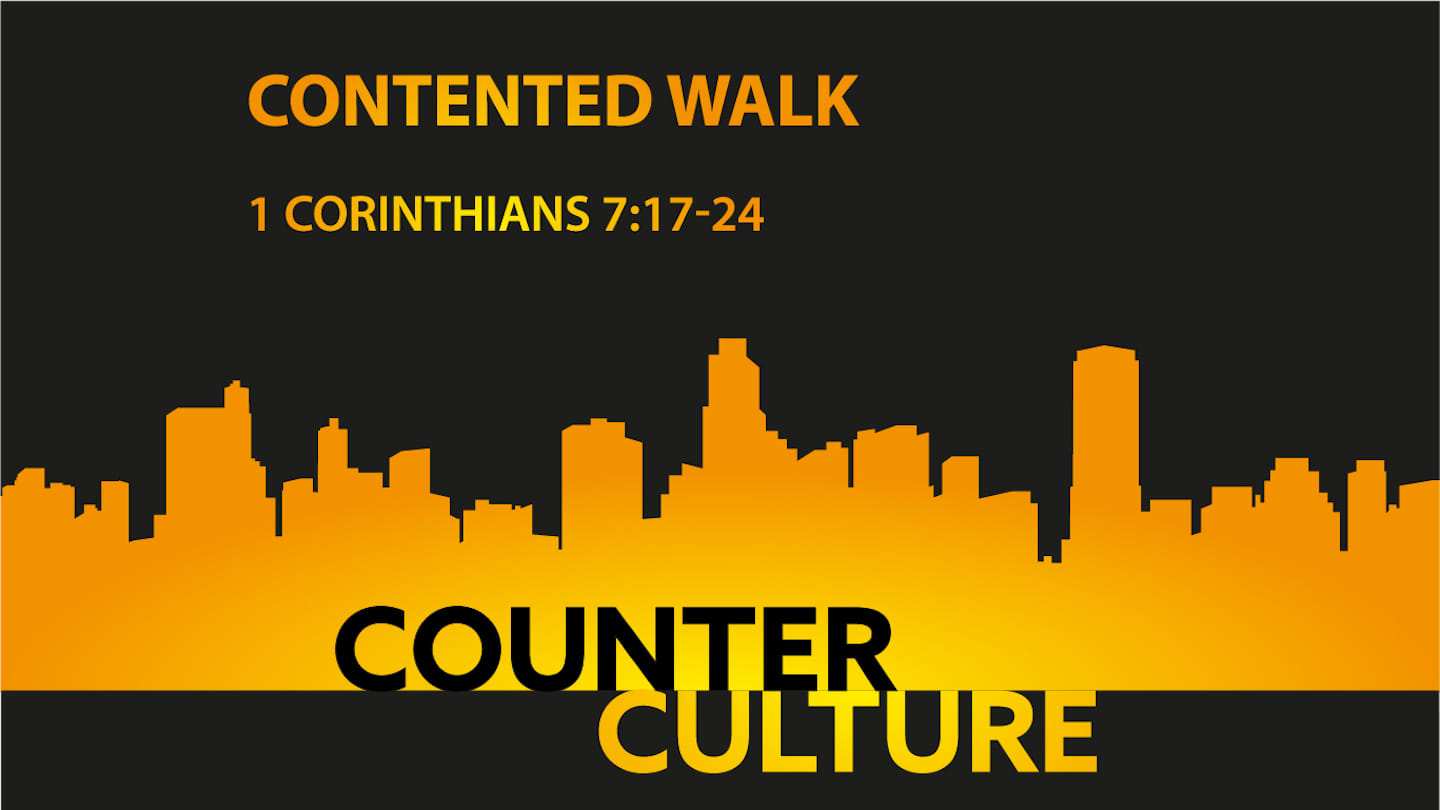 Counter Culture - Contented Walk