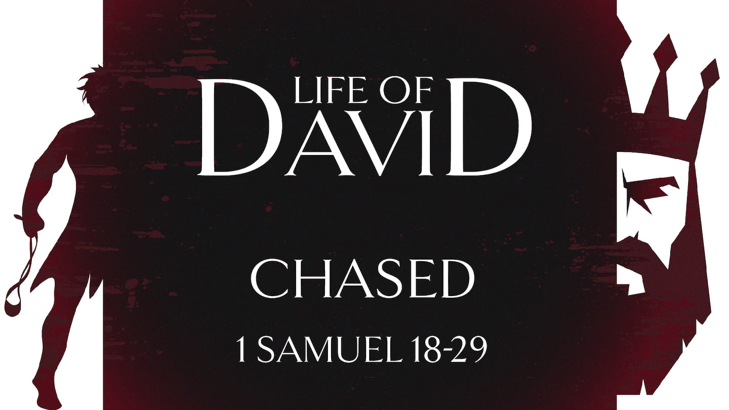 Life of David: Chased