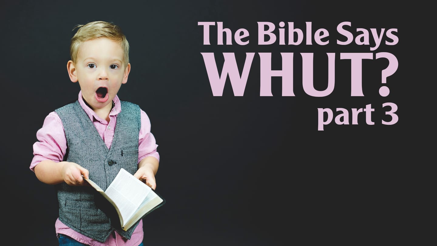 The Bible Says Whut? Part 3: Romans 7