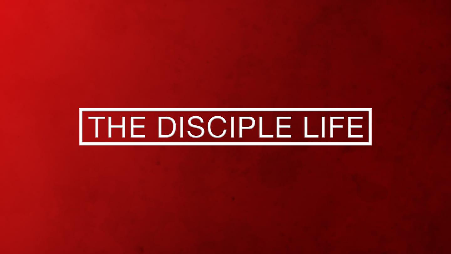 The Disciple Life: The Company