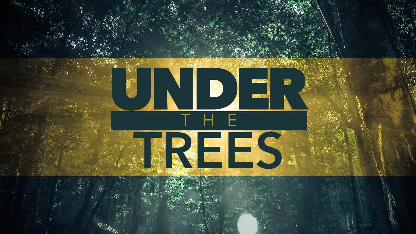 Under the Trees - Why This Sacrifice?