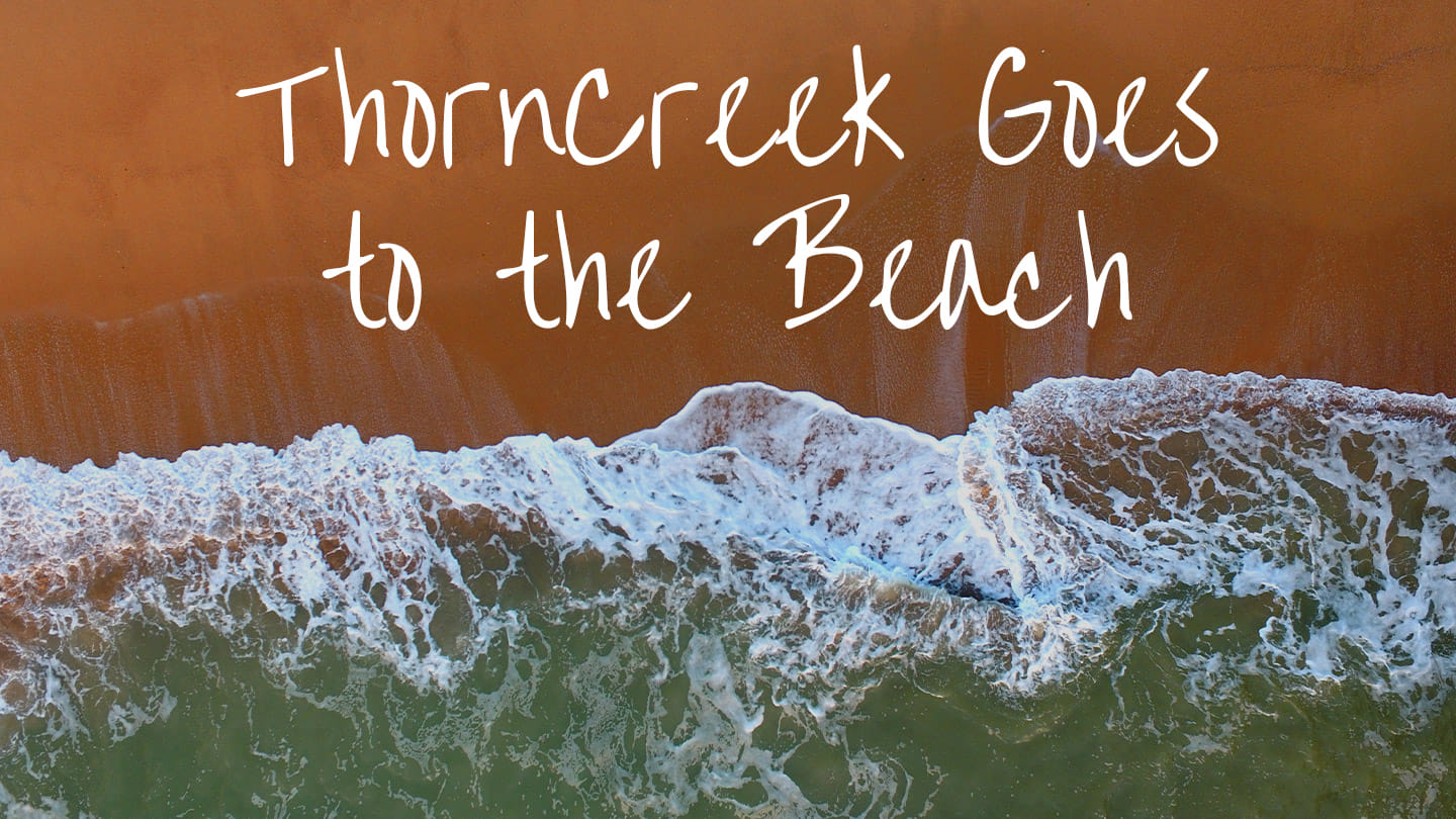ThornCreek Goes to the Beach! :: It's so Hot! (Suffering)