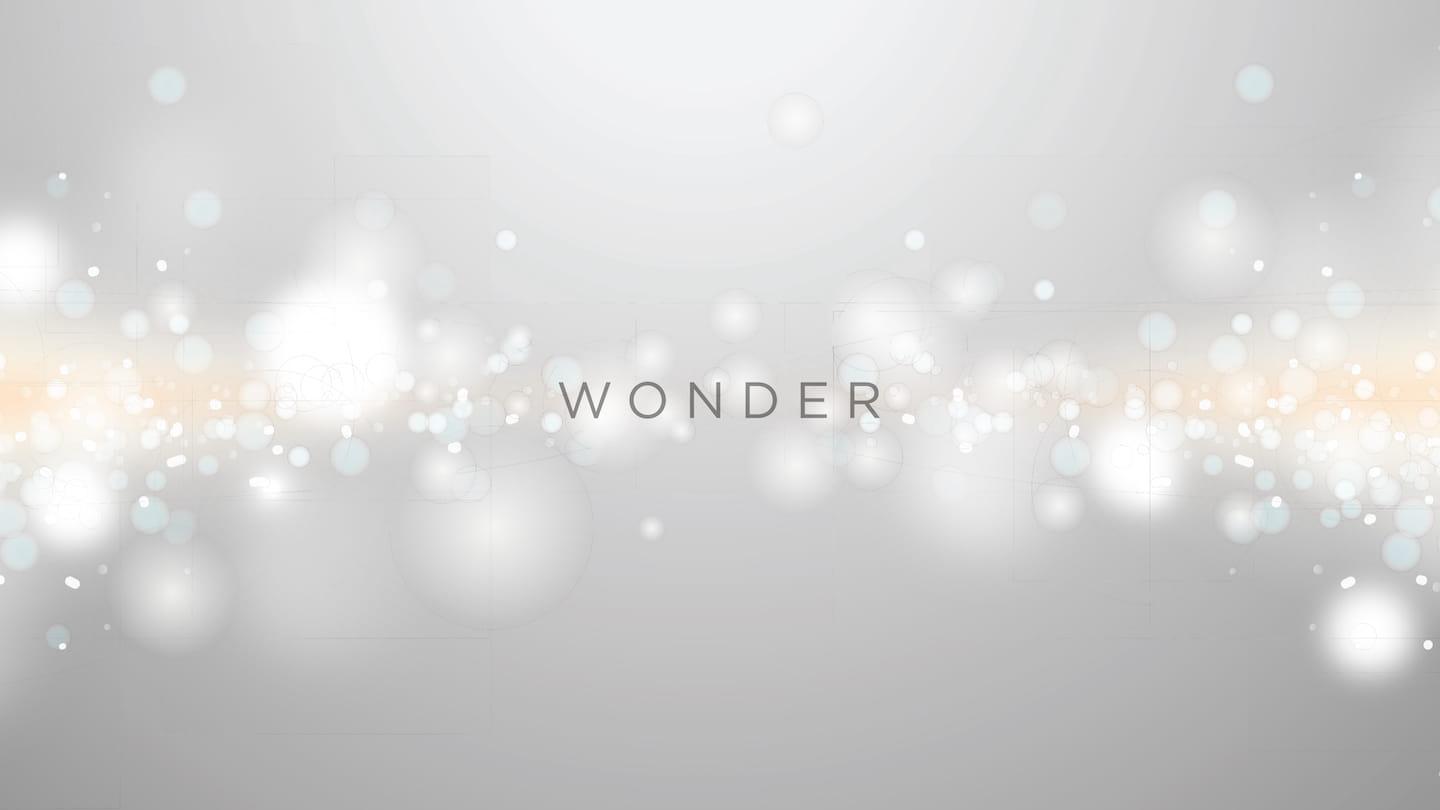 Wonder: Worshippers—The Glory of Praise