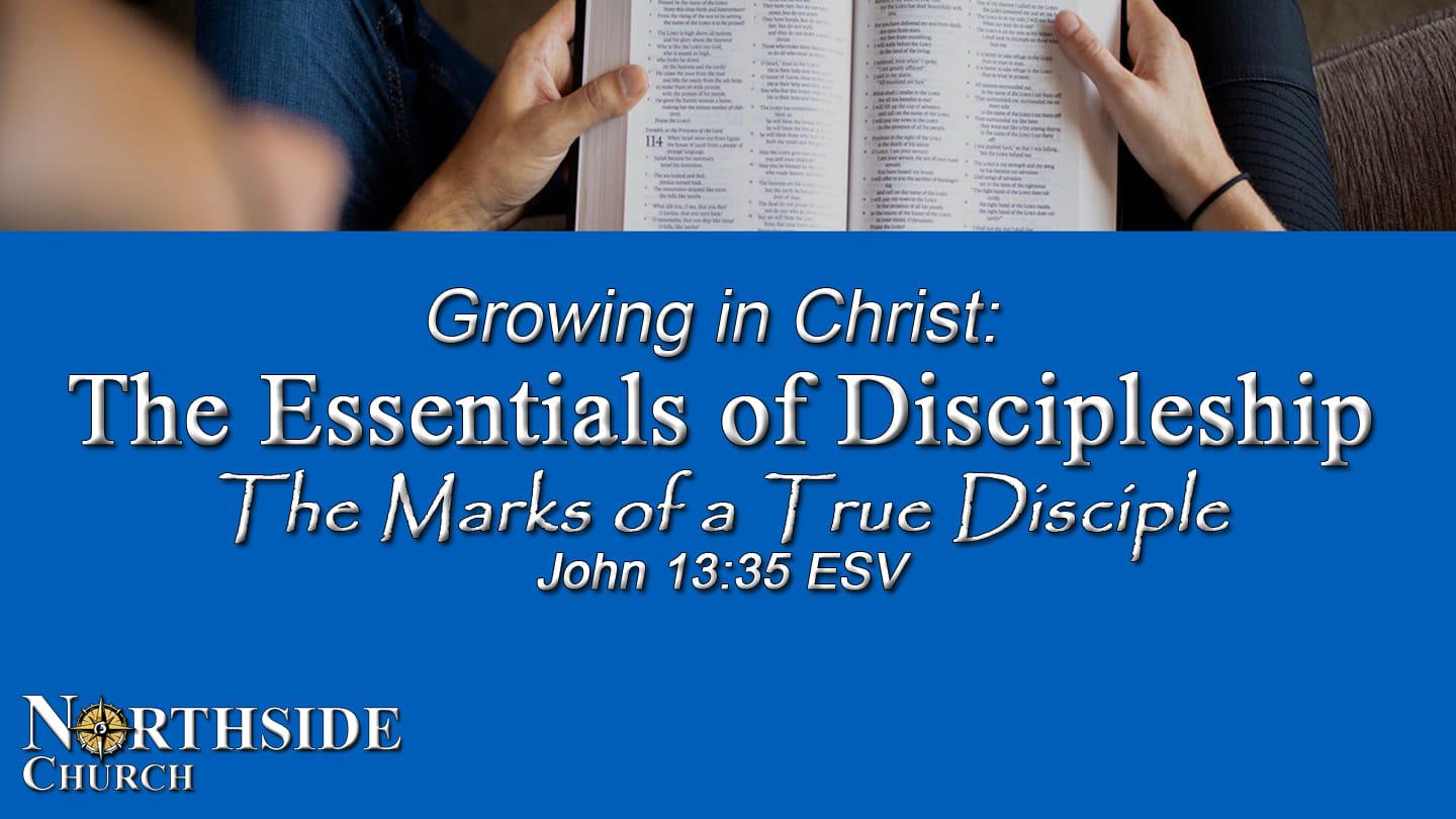 Growing in Christ: The Essentials of Discipleship III