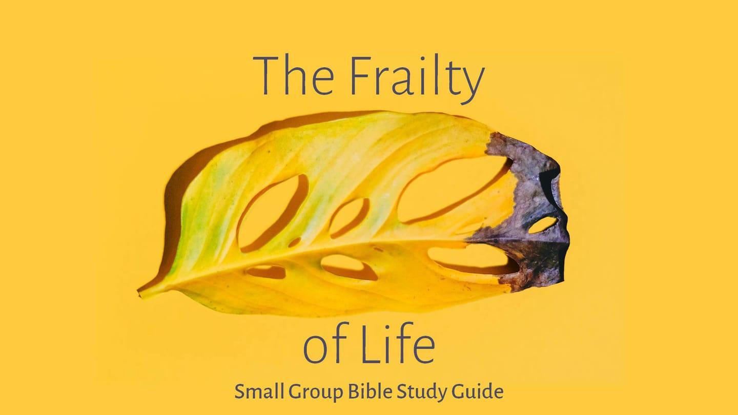 Growth Group Bible Study @ TempleRogers - July 5, 2020