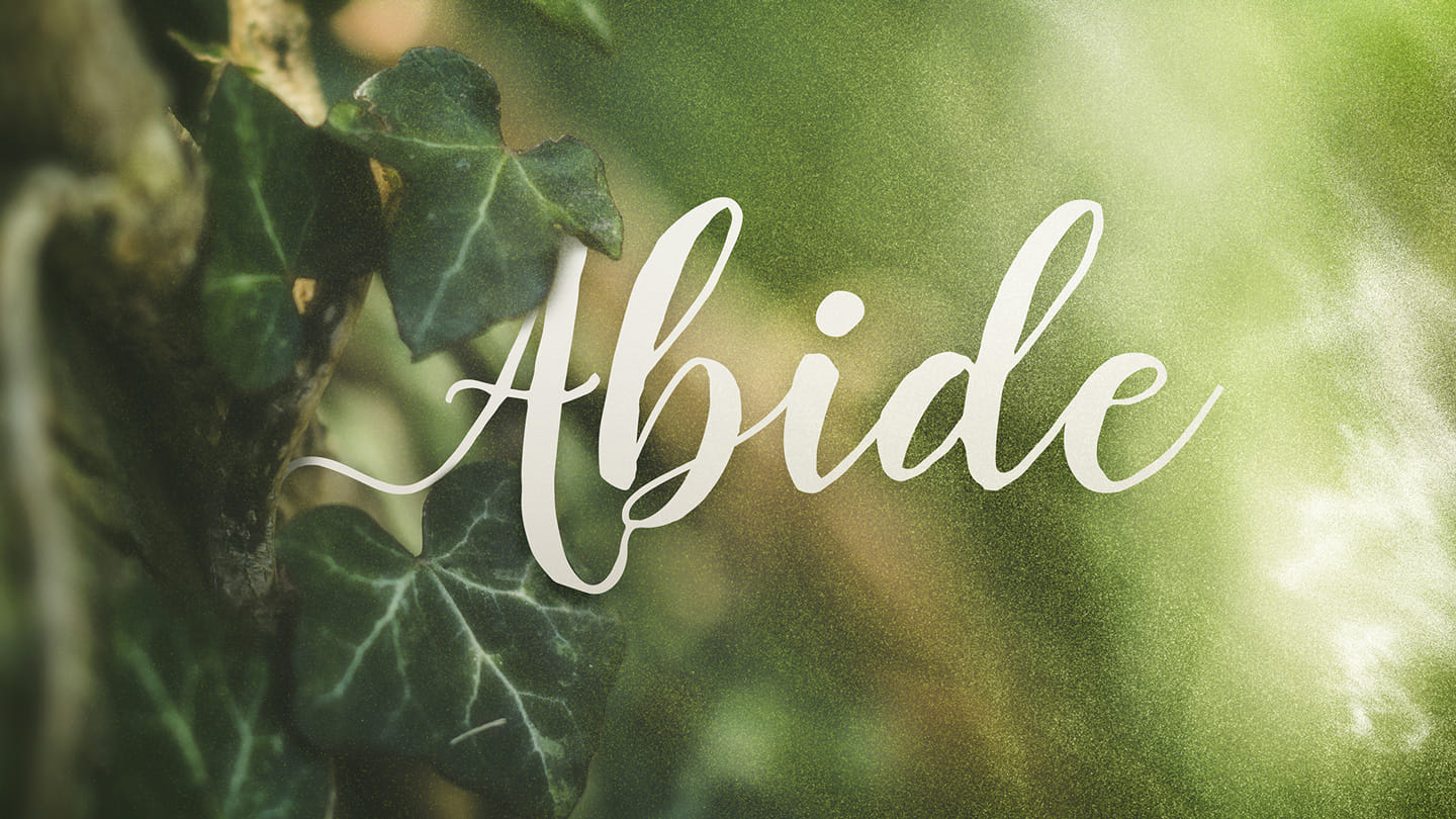 Abide: Having Hope When the World Hates You