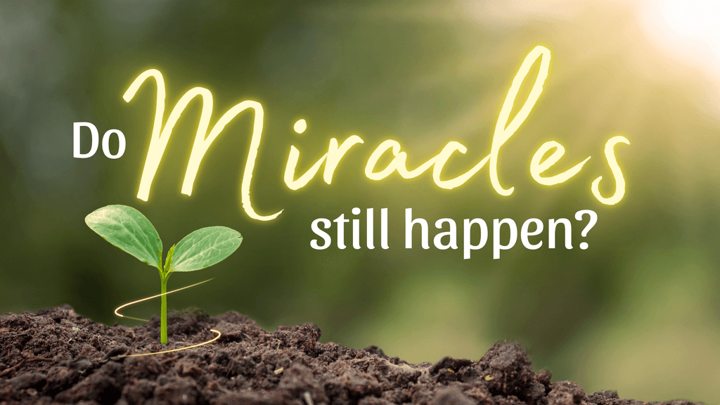 Do Miracles Still Happen? Miracle of Forgiveness