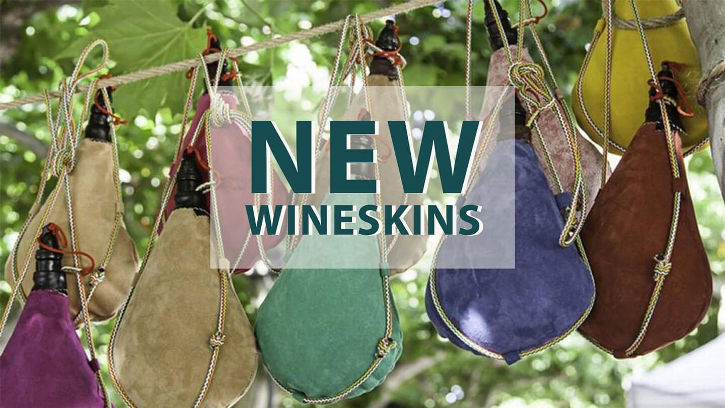 New Wineskins | Mike Van Meter | November 21 & 22, 2020