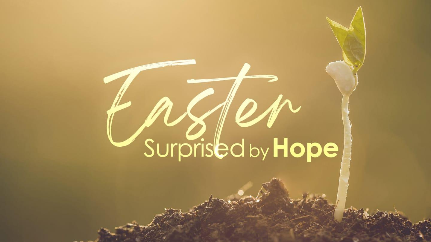 Easter | Surprised by Hope
