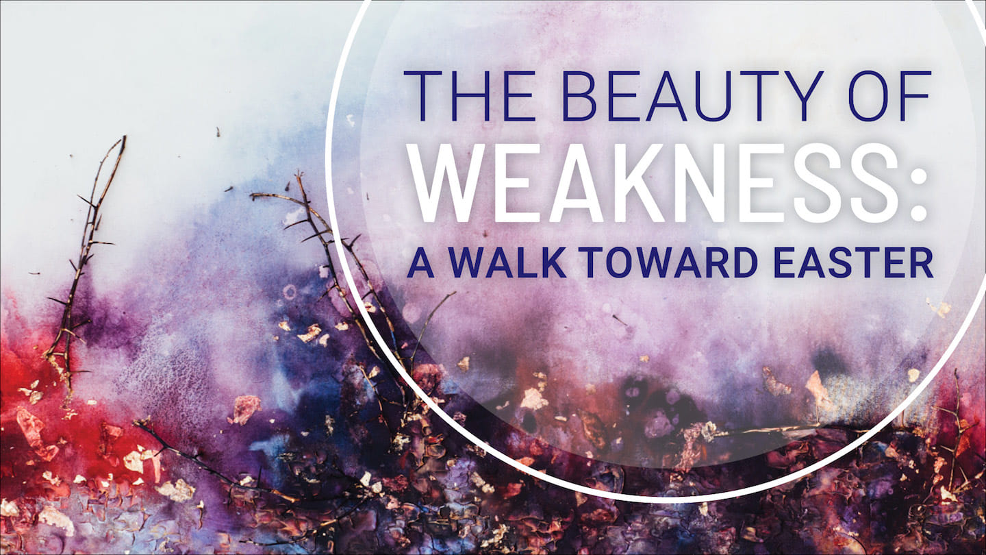 The Beauty of Weakness - February 25 | Brookside