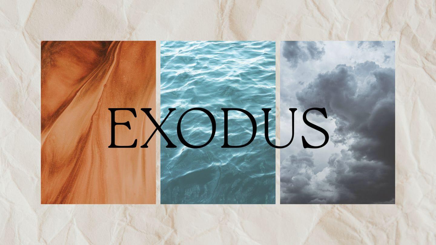 Exodus | When Obedience Hurts