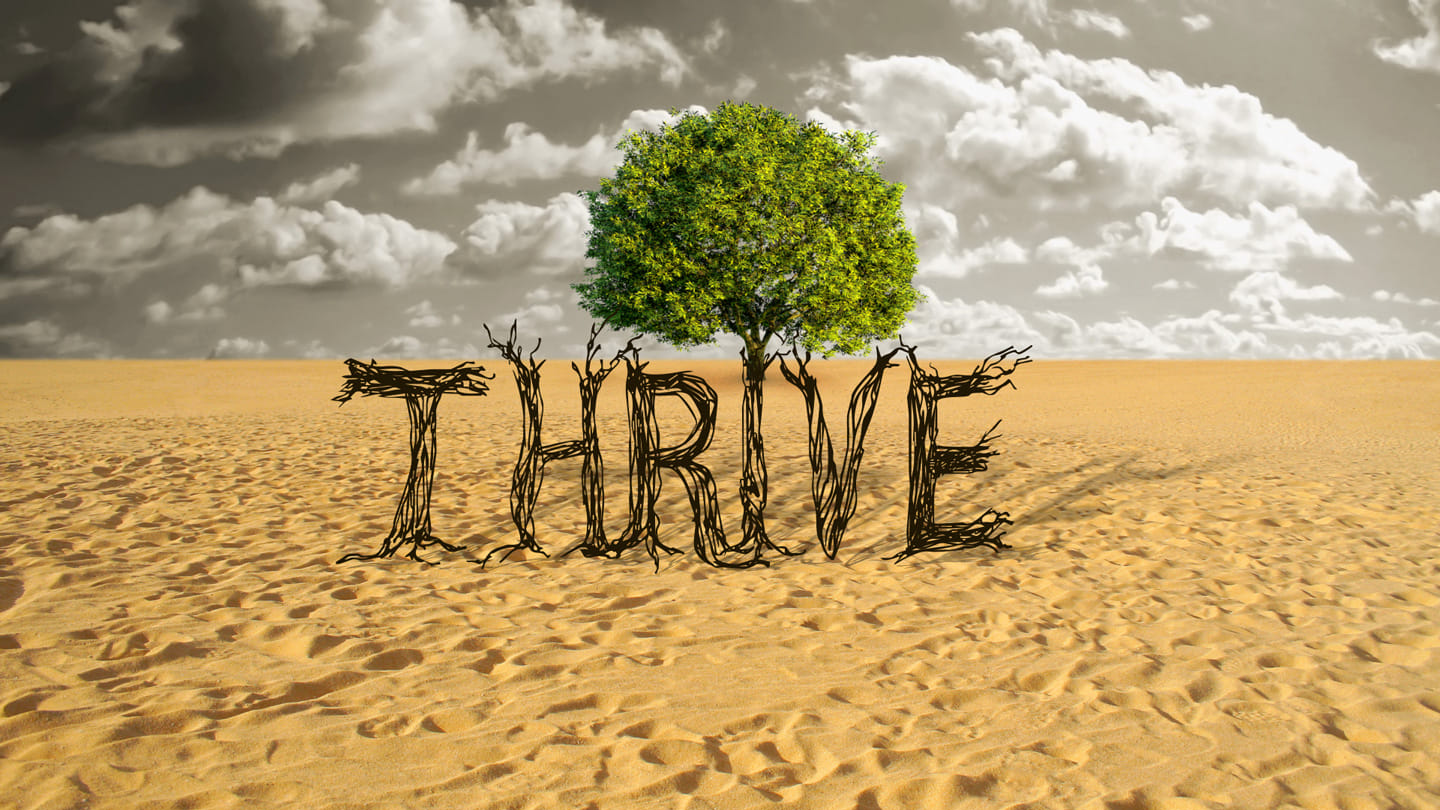 Thrive: Overcoming Obstacles - Pastor Ben Taylor