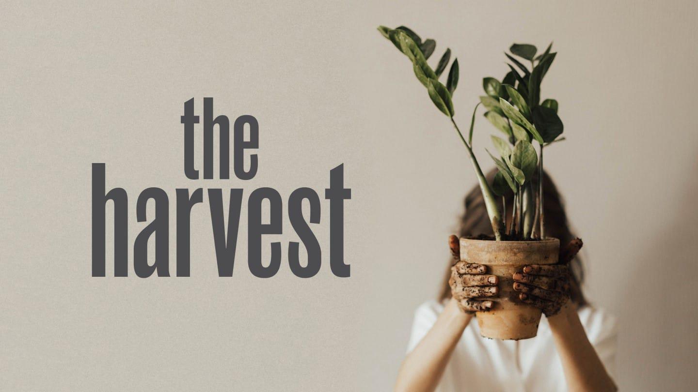 The Harvest 01: The Spread
