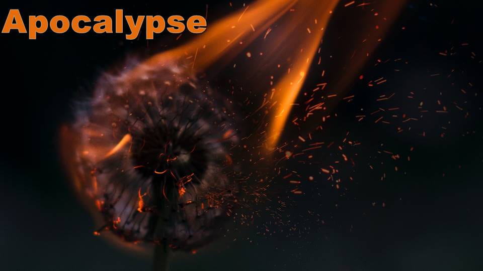 Apocalypse Episode 14: You're Not Meant to Do This Alone!
