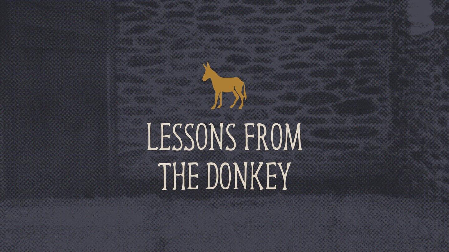 Palm Sunday  |  Lessons From A Donkey