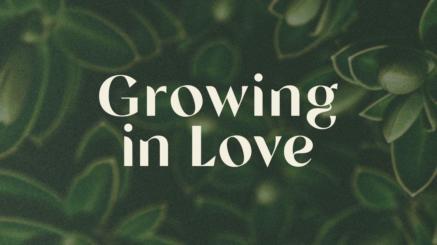 Growing in Love