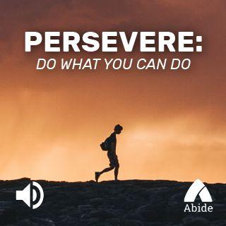 Persevere: Do What You Can Do