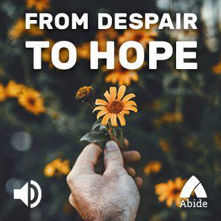 Despair To Hope