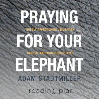 "Praying For Your Elephant" - att be djärva böner