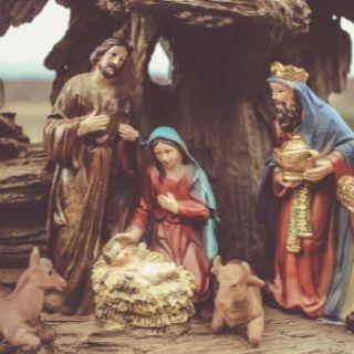 Meditations From The Manger