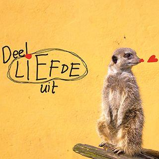 Liefhebben in plaats van roddelen