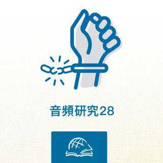 认识圣经：聆听加拉太书