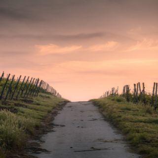 Paths of Righteousness