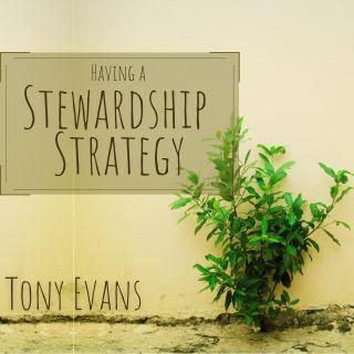 Having a Stewardship Strategy