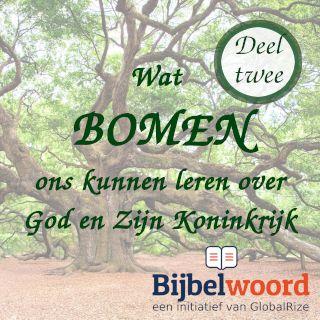 Wat bomen ons kunnen leren over God en zijn Koninkrijk — deel 2